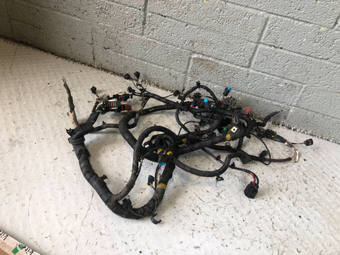 Freelander 2 Engine Loom Wiring AG92-12A690 CBC 2.2 TD4 Land Rover