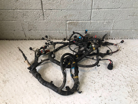 Freelander 2 Engine Loom Wiring AG92-12A690 CBC 2.2 TD4 Land Rover