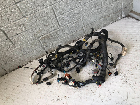 Freelander 2 Engine Loom Wiring AG92-12A690 CBC 2.2 TD4 Land Rover