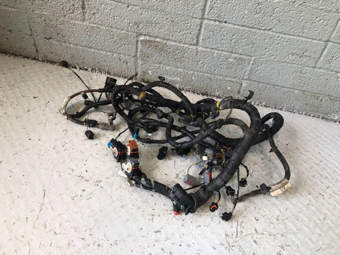 Freelander 2 Engine Loom Wiring AG92-12A690 CBC 2.2 TD4 Land Rover