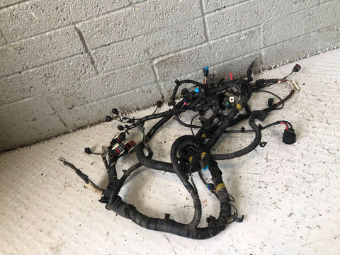Freelander 2 Engine Loom Wiring AG92-12A690 CBC 2.2 TD4 Land Rover