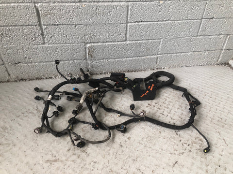 Engine Wiring Loom Main 3.0 TDV6 Discovery 4 Range Rover Sport Land Rover D03086
