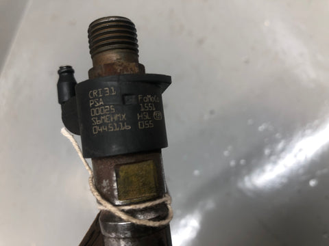 Range Rover Evoque Fuel Injector 2.2 SD4 Diesel 0445116055 L538 2011 to 2015