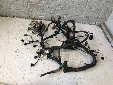 Freelander 2 Engine Loom Wiring AG92-12A690 CBC 2.2 TD4 Land Rover