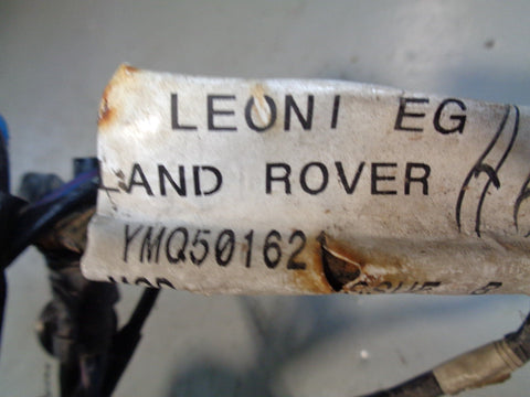 Range Rover Sport Fog Light Wiring Loom Front Bumper YMQ501621 L320