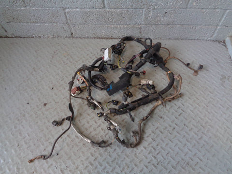 Engine Wiring Loom 2.7 TDV6 4H2Q-9H589-AT Euro 3 Discovery 3 Range Rover Sport