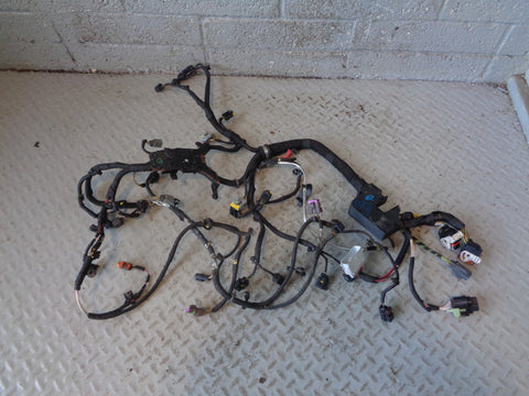 Range Rover Sport Engine Loom Complete TDV8 3.6 L320 2006 to 2009