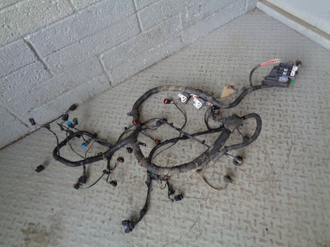 Freelander 2 Engine Loom Wiring 7G92-12A690 CAF 2.2 TD4 Land Rover