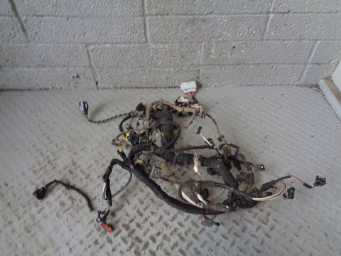 Range Rover L322 Engine Loom Complete TDV8 3.6 2006 to 2009 R24025