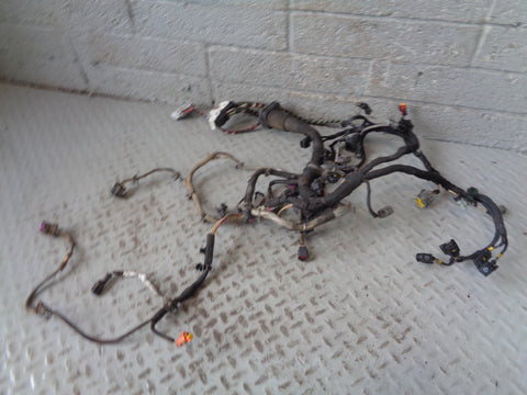 Range Rover L322 Engine Loom Complete TDV8 3.6 2006 to 2009 R24025