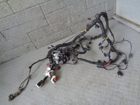 Freelander 2 Engine Loom Wiring AG92-12A690 CAB 2.2 TD4 Land Rover