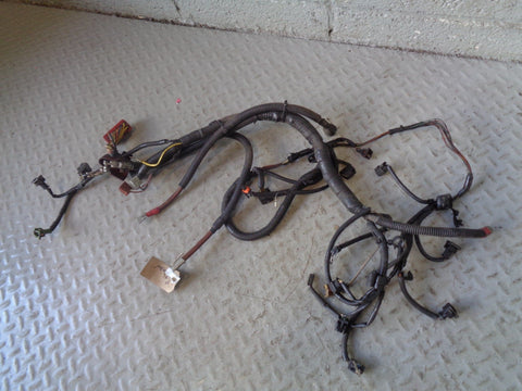 Discovery 2 TD5 Engine Wiring 15p or 16p Land Rover 2002 to 2004 L190724