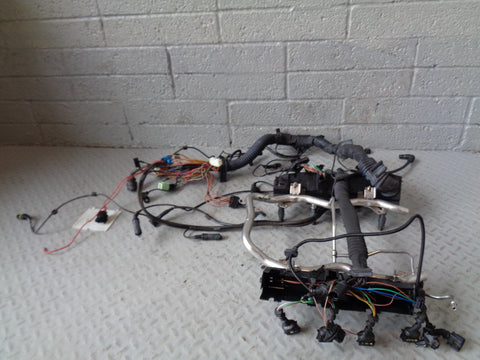 Range Rover L322 Engine Loom Complete Harness and Fuel Rail 4.4 V8 M62 S25064