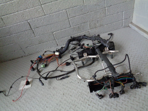 Range Rover L322 Engine Loom Complete Harness and Fuel Rail 4.4 V8 M62 S25064