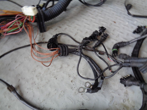 Range Rover L322 Engine Loom Complete Harness and Fuel Rail 4.4 V8 M62 S25064