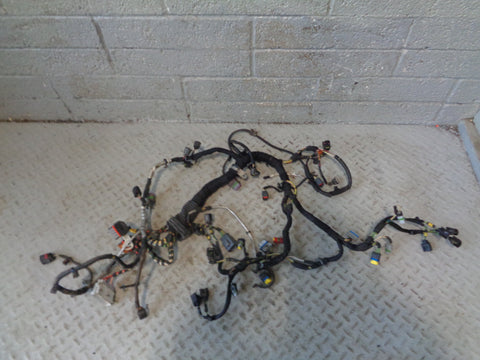Range Rover L322 Engine Loom Complete TDV8 3.6 2006 to 2009 R30015