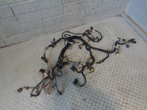 Range Rover L322 Engine Loom Complete TDV8 3.6 2006 to 2009 R30015