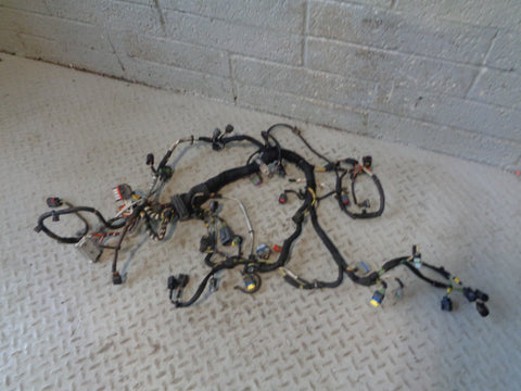 Range Rover L322 Engine Loom Complete TDV8 3.6 2006 to 2009 R30015