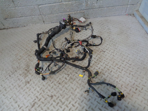 Range Rover L322 Engine Loom Complete TDV8 3.6 2006 to 2009 R30015