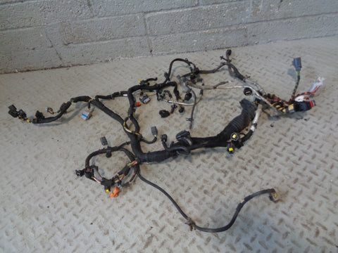 Range Rover L322 Engine Loom Complete TDV8 3.6 2006 to 2009 R30015