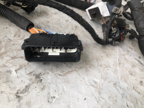 Engine Wiring Loom Main 3.0 TDV6 Discovery 4 Range Rover Sport Land Rover D03086