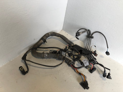 Freelander 1 Engine Wiring Loom 2.0 TD4 Land Rover 2001 to 2006 R10095