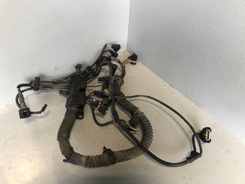 Freelander 1 Engine Wiring Loom 2.0 TD4 Land Rover 2001 to 2006 R10095