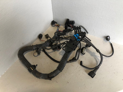 Freelander 1 Engine Wiring Loom 2.0 TD4 Land Rover 2001 to 2006 R10095