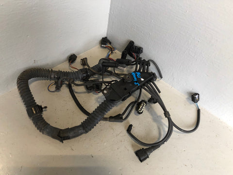 Freelander 1 Engine Wiring Loom 2.0 TD4 Land Rover 2001 to 2006 R10095