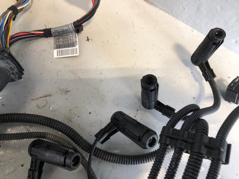 Freelander 1 Engine Wiring Loom 2.0 TD4 Land Rover 2001 to 2006 R10095
