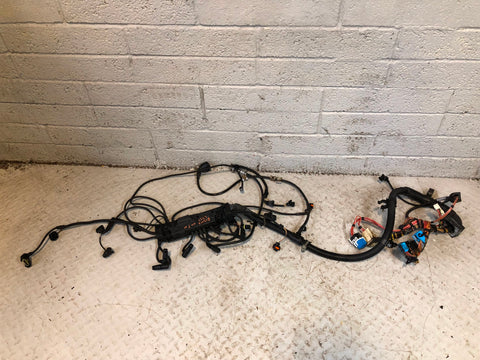 Range Rover L322 Engine Wiring Loom 3.0 TD6 BMW M57 2002 to 2006