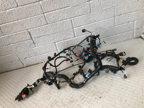 Range Rover Evoque Engine Main Wiring Loom 2.2 SD4 L538 EJ32-12A690 FD