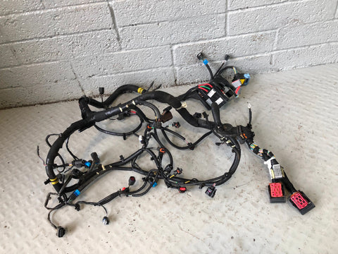 Range Rover Evoque Engine Main Wiring Loom 2.2 SD4 L538 EJ32-12A690 FD