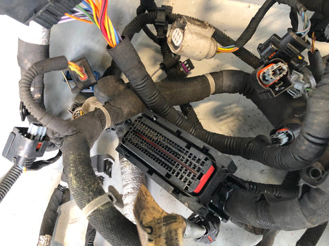 Range Rover L405 Wiring Loom Main Engine DX23-9137 CA 3.0 SDV6 2013 to 2016