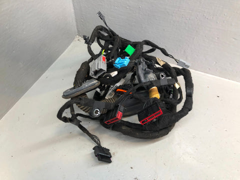 Discovery Sport Door Wiring Loom Off Side Front FK72-14631 CGD L550 Land Rover