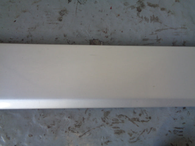 Discovery 3 Tailgate Trim External Lower Silver DGP000184