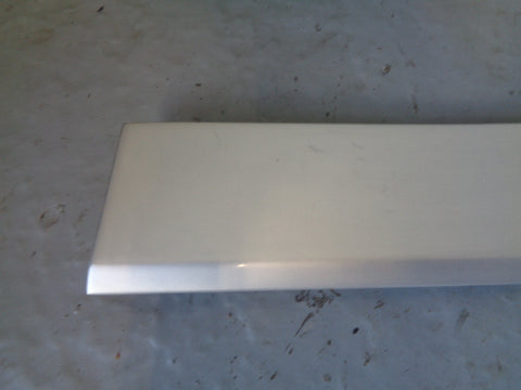 Discovery 3 Tailgate Trim External Lower Silver DGP000184