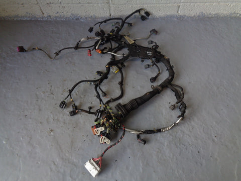 Range Rover L322 Engine Loom Complete TDV8 3.6 6H4Q-9H589-AH
