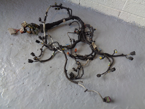 Range Rover L322 Engine Loom Complete TDV8 3.6 6H4Q-9H589-AH