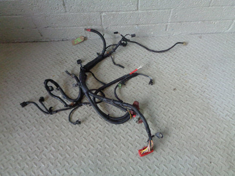 Discovery 2 TD5 Engine Wiring Loom 10p 7H22-12A22-AA Land Rover 1998 to 2002