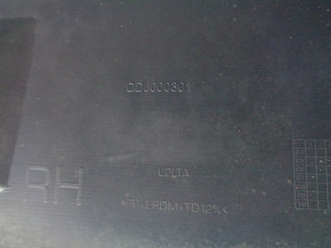 Range Rover Sport Sill Cover Plastic Trim Off Side Right L320 DDJ000301