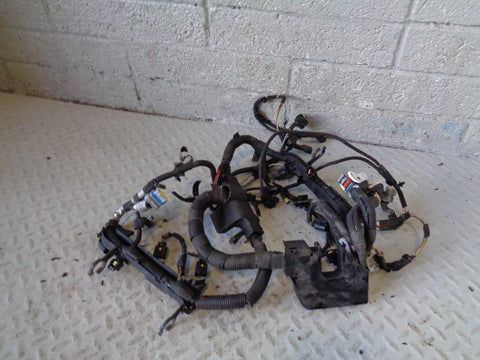 Discovery 3 TDV6 Engine Wiring Loom Land Rover Euro 4 2006 to 2009 (No p/n)