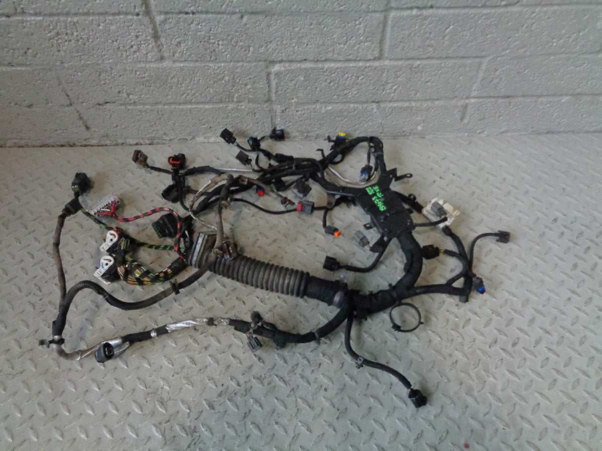 Range Rover L322 Engine Loom Complete TDV8 3.6 8H4Q-009H589 AD 2009 to 2013
