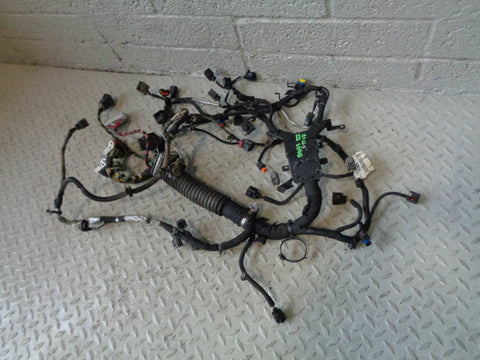 Range Rover L322 Engine Loom Complete TDV8 3.6 8H4Q-009H589 AD 2009 to 2013