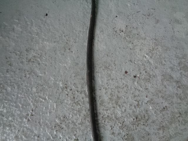 Discovery 2 Door Rubber Seal Near Side Rear Land Rover 1998