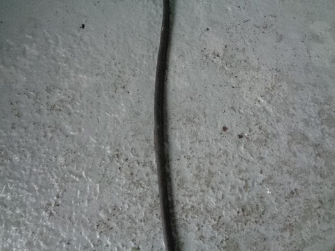 Discovery 2 Door Rubber Seal Near Side Rear Land Rover 1998